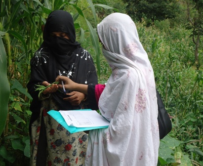 Food Security & Sustainable Livelihoods